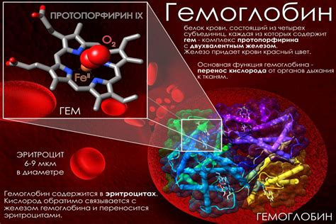 Железо: необходимое вещество для крови