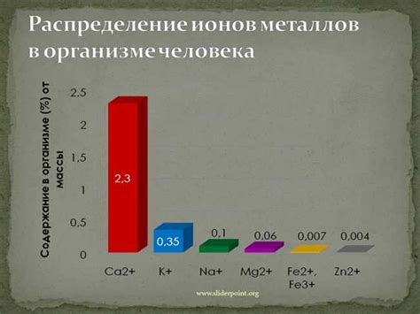 Железо: основной металл организма