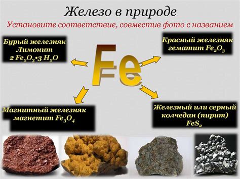 Железо и его высокая активность