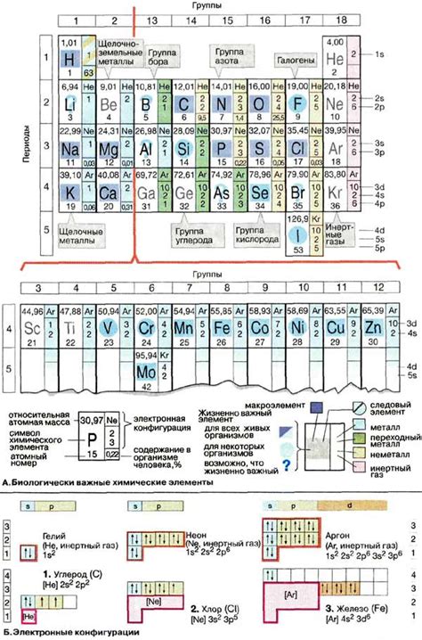 Жизненно важные химические элементы