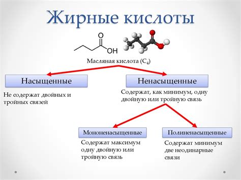 Жирные кислоты, гормоны и другие элементы, играющие важную роль в организме