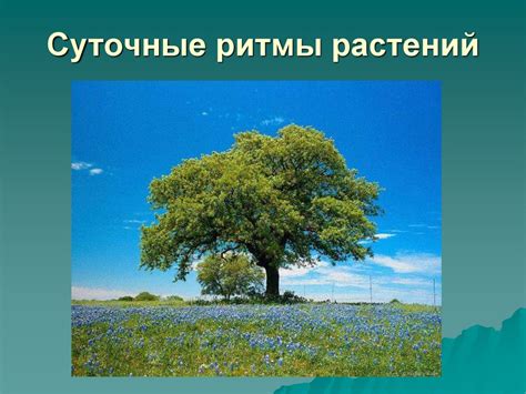 Зависимость свойств аура от условий окружающей среды