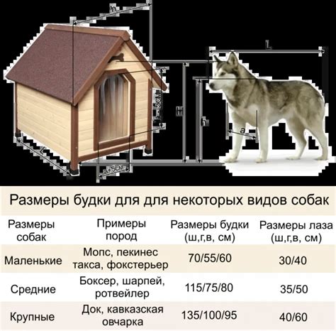 Заготовка и размеры будки: