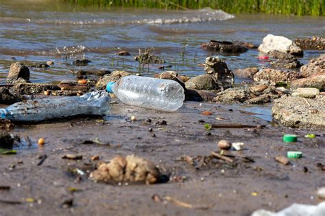 Загрязнение воды: причины и последствия