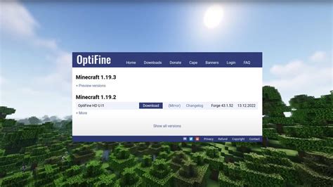 Зайдите в настройки OptiFine и найдите раздел "Шейдеры"