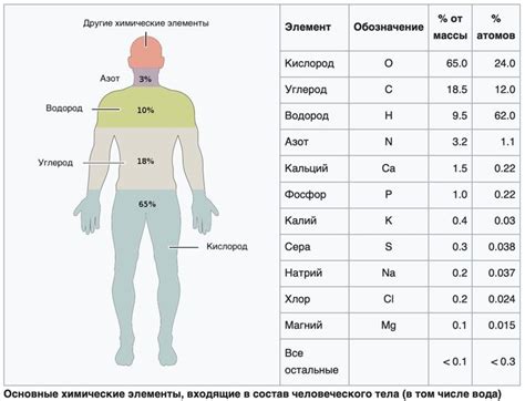 Закраска тела и дополнительных элементов