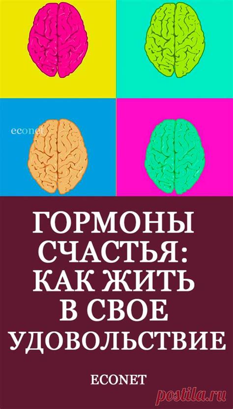 Запросите помощь у специалистов