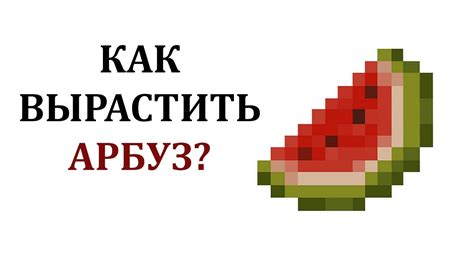 Зачем нужен майнкрафт арбуз и как его использовать?