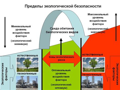 Защита и безопасность деревни