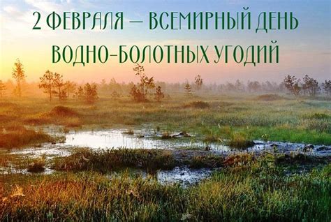 Защищаем водно-болотные угодья: День 2 февраля