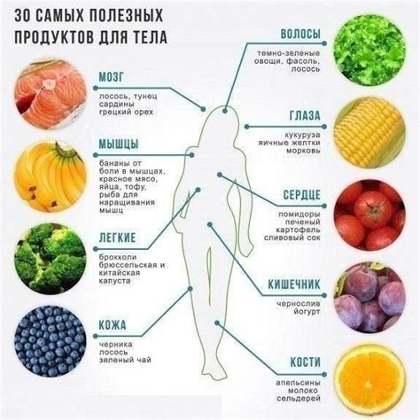 Здоровое питание: продукты, полезные для организма при заболевании предстательной железы