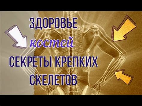 Здоровые кости благодаря калию