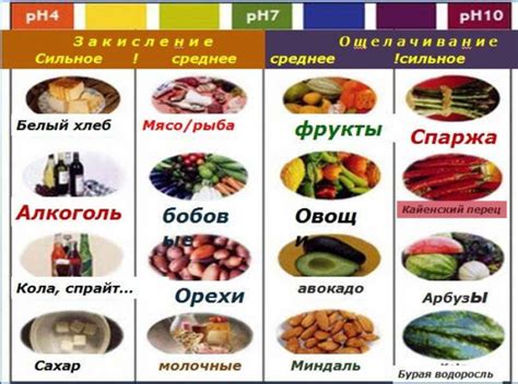 Здоровье и щелочные продукты: важность баланса