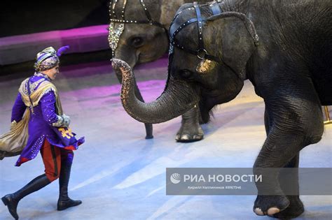 Значение Всемирного дня цирка в современном мире