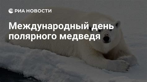 Значение Международного дня белого медведя