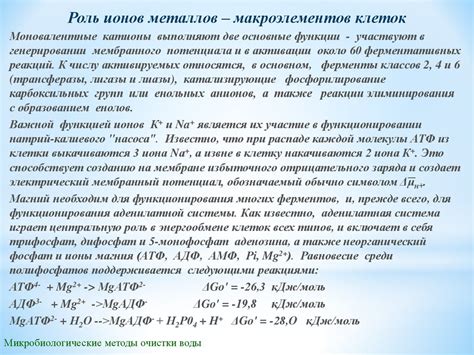 Значение ионов активных металлов в биохимических процессах