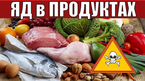 Значение контроля тяжелых металлов в пищевых продуктах и воде