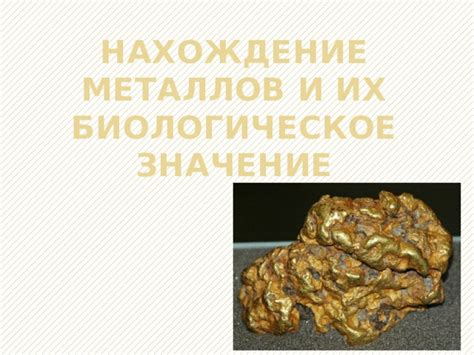 Значение металлов в защите сердца