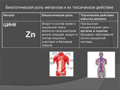 Значение металлов для экономики