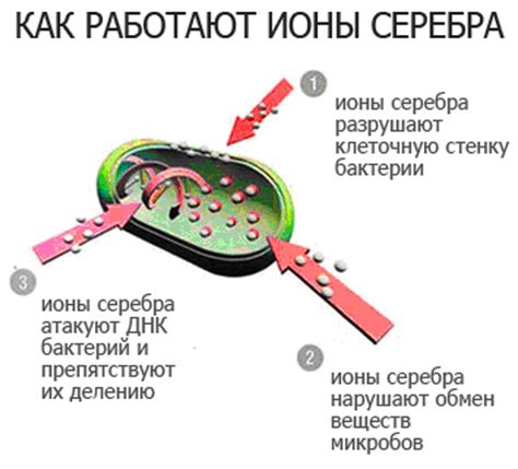 Значение серебра для организма: свойства и применение