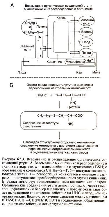 Значимость использования