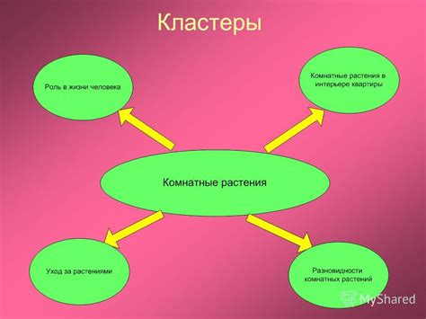 Значимость комнатных растений для нашей жизни и здоровья