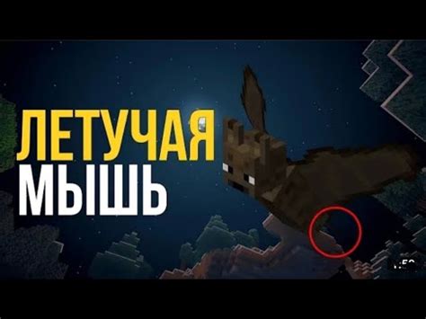 Играйте за летучую мышь в Майнкрафте