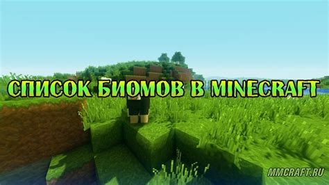 Игра Minecraft: список биомов и мест, где обитают слизни