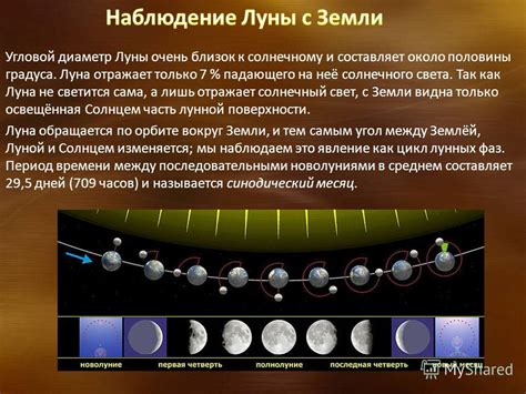 Избегайте ночного времени и падающего сада, так как это период активности пауков