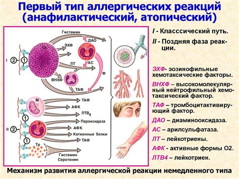 Избежание аллергических реакций