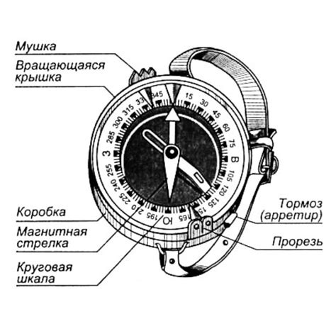 Изготовление и использование компаса