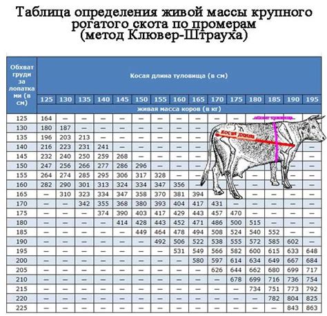 Измерение и определение веса