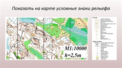 Изучение местности и планирование атаки