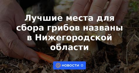 Изучите лучшие места для сбора металлоотходов