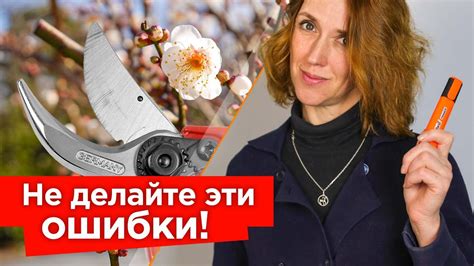 Изучите правила игры и внимательно следуйте им