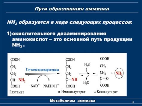 Из расщепления аммиака