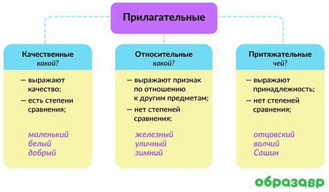 Имена-прилагательные