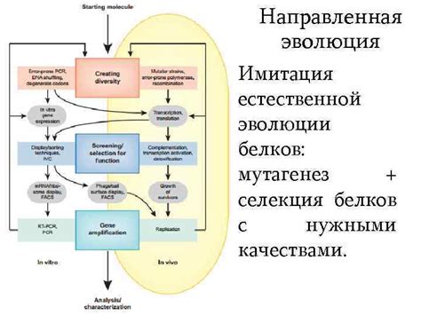 Имитация естественной активности