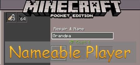 Имя игрока в Minecraft на английском