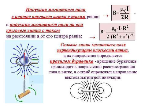 Индукция и магнитная восприимчивость