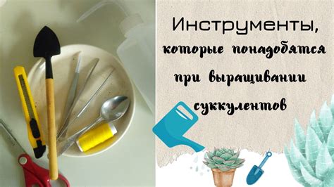 Инструменты и ресурсы, которые понадобятся