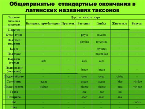 Интересные факты о латинских терминах в названиях металлов