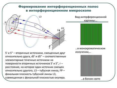 Интерференционная микроскопия