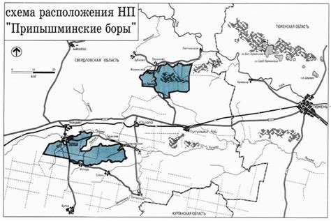 Информация о Талицком ГИБДД Свердловской области