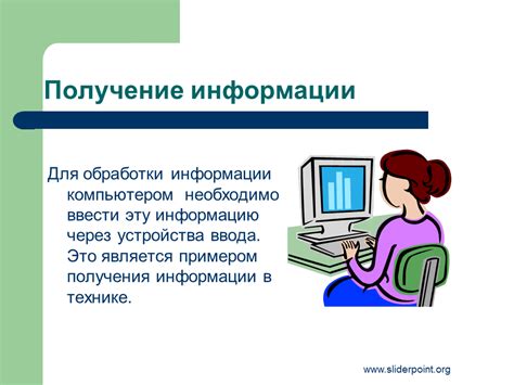 Информация о работе