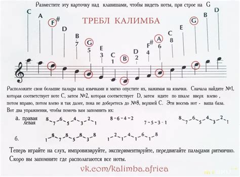 Информация о цифрах, обозначающих ноты на калимбе