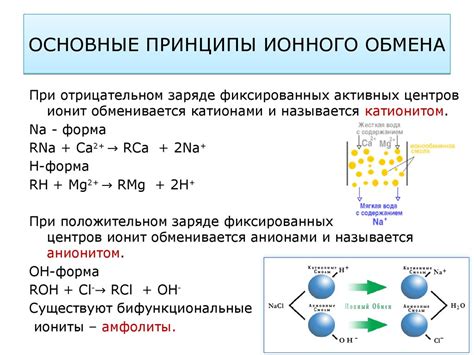 Ионный обмен и анодно-катодные процессы