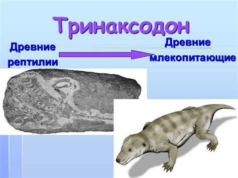 Ископаемые доказательства