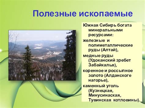 Ископаемые с металлическими и минеральными ресурсами: важность эксплуатации и разнообразие