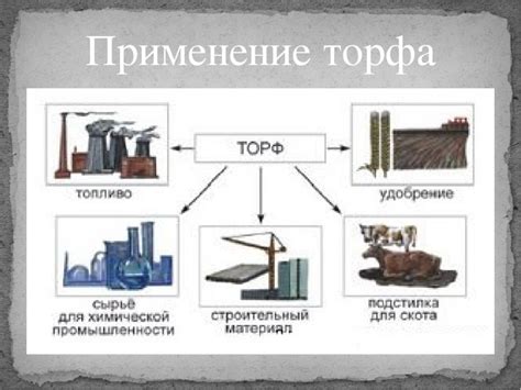 Использование Сд2 в промышленности